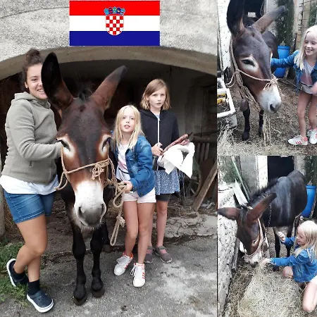 Rent House Butterfly Rovinj Vikendica